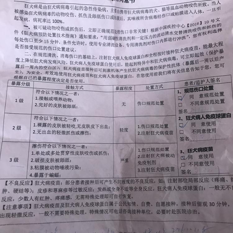 宠物打疫苗没有疫苗本