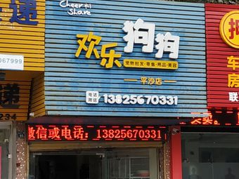 网上宠物店推荐