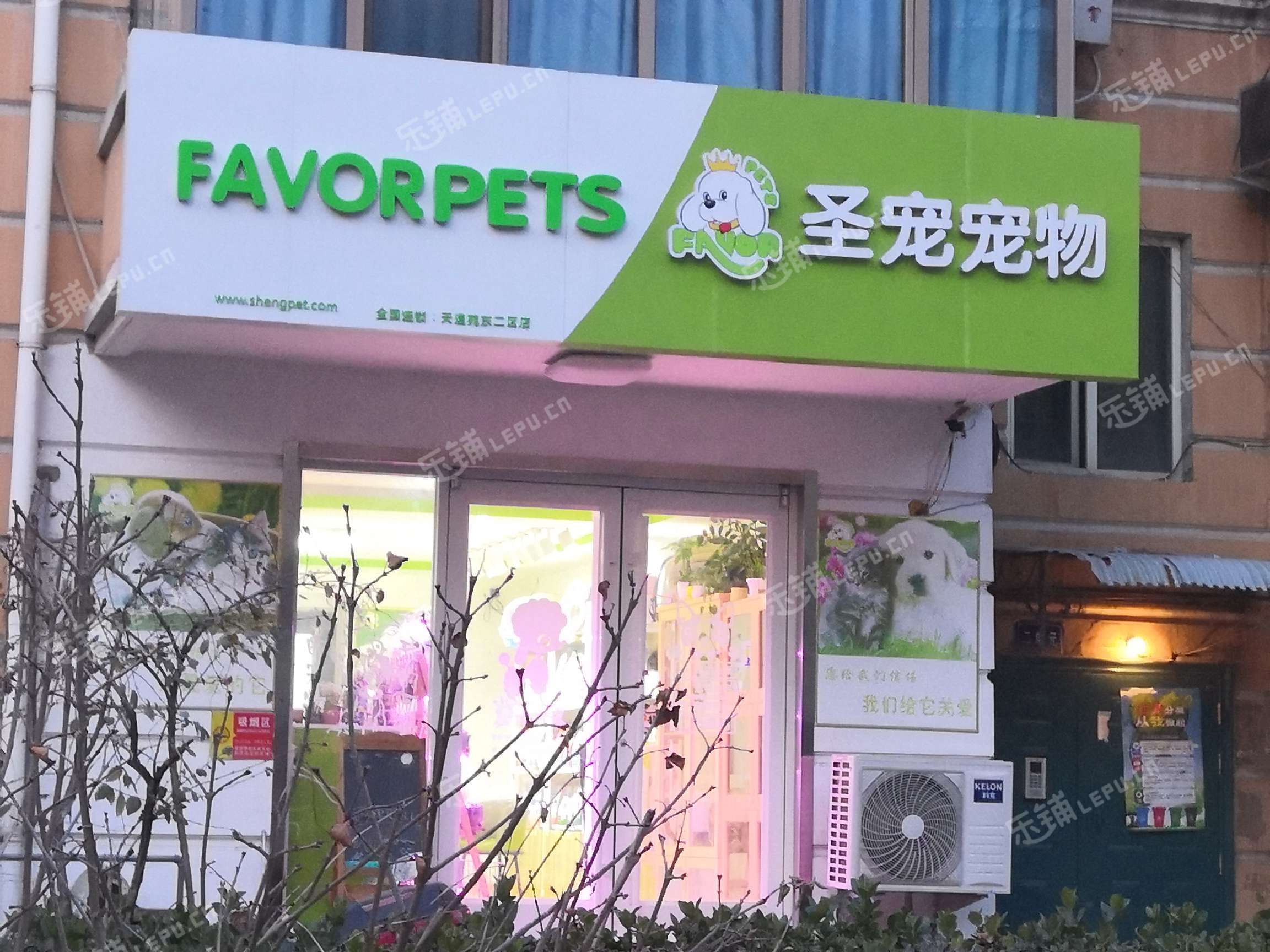 网上宠物店推荐