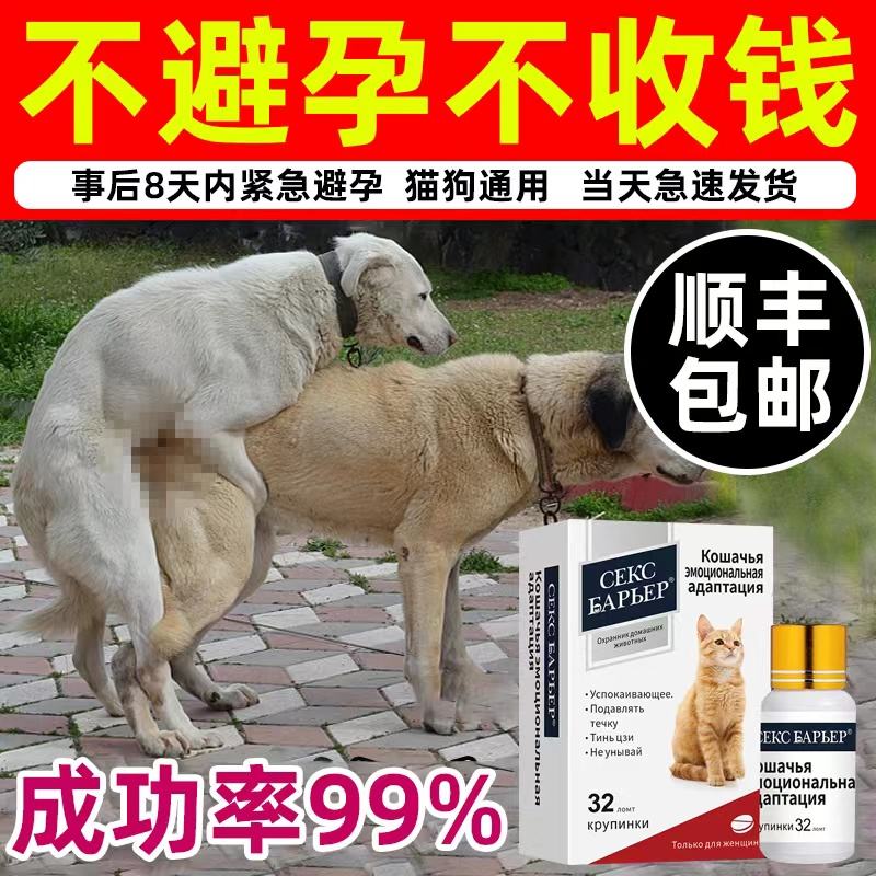 宠物避孕药-宠物避孕药的副作用