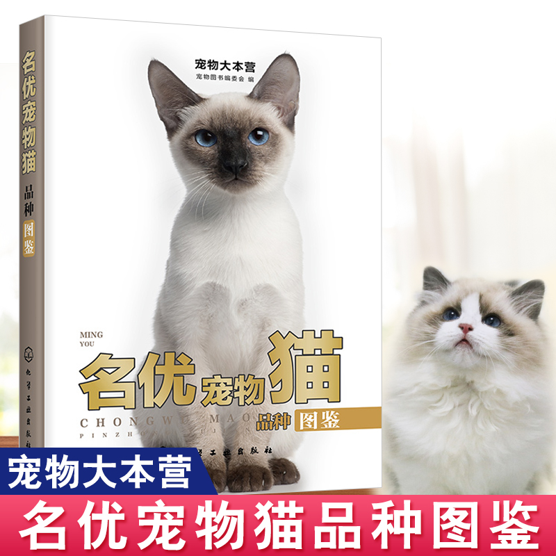 宠物猫的所有品种-宠物猫的所有品种名字