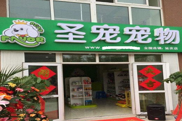 丽江圣宠宠物店-丽江最大的宠物店