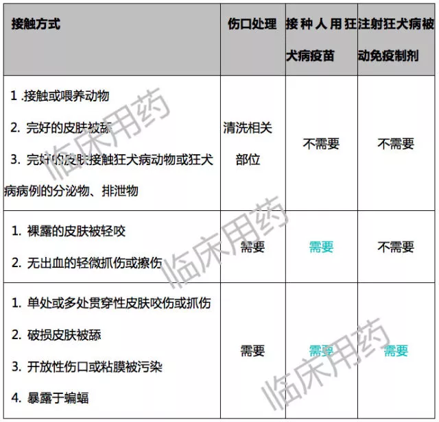 深圳宠物狂犬疫苗