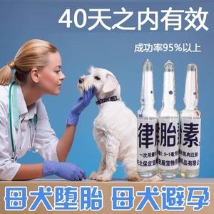 宠物用避孕药-狗狗吃什么药能绝育