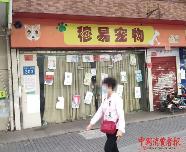 济南哪里有宠物店-济南哪里有宠物店卖