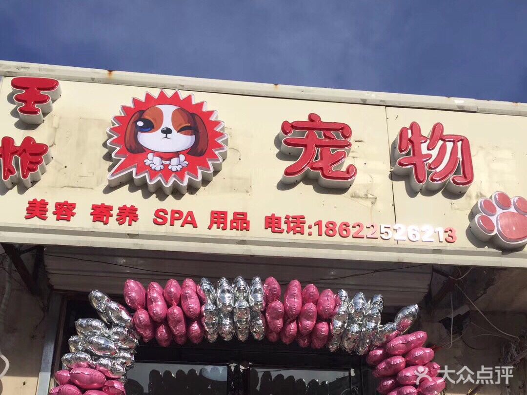 天津河西宠物店