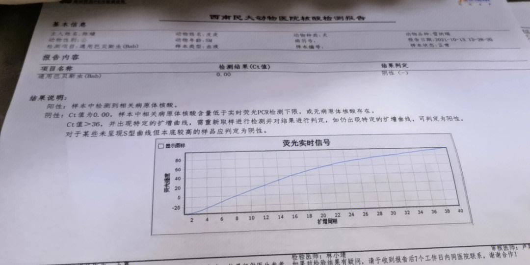 宠物溶血症-宠物溶血性贫血