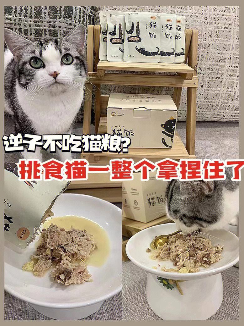 猫粮怎么做