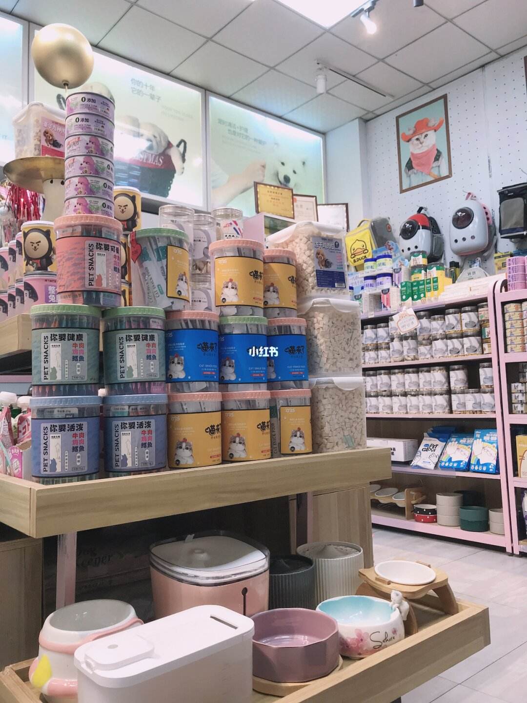 汕头市宠物园宠物店-汕头市宠物园宠物店电话