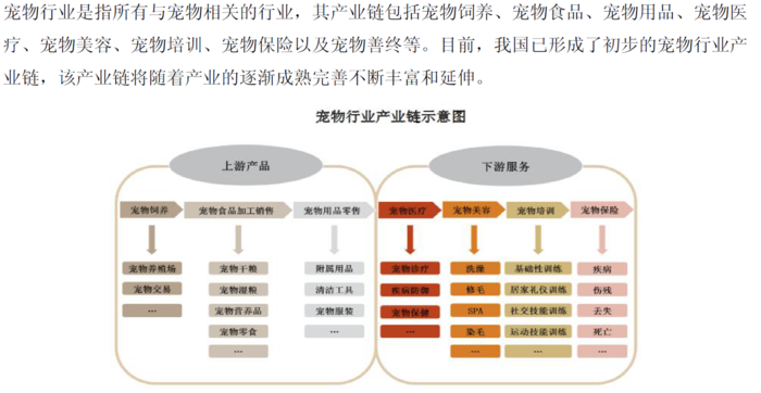 宠物市场的发展前景-2020年宠物市场前景