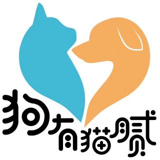 宠物店微信-宠物店微信号