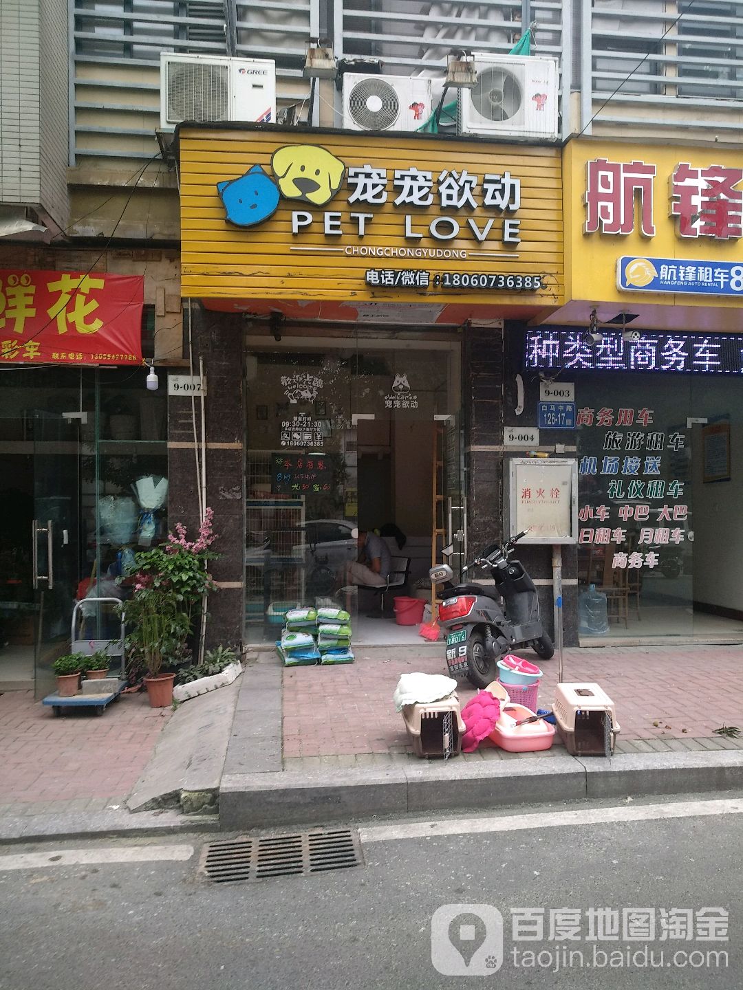 揭阳宠物店-揭阳宠物店哪家好