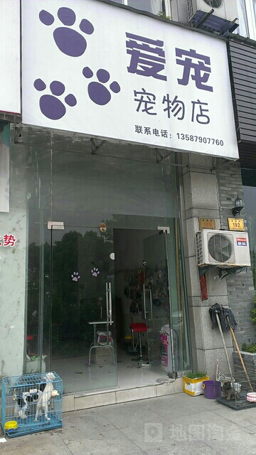 常州大型宠物店