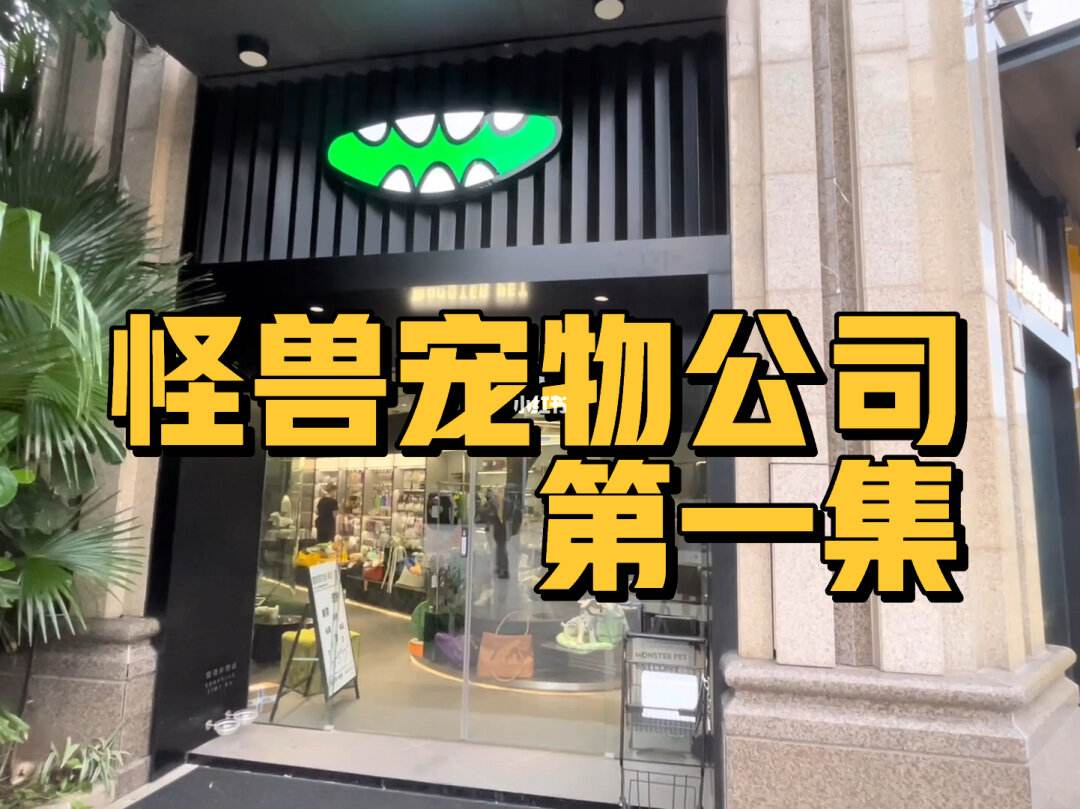 厦门正规的宠物店-厦门正规的宠物店排名