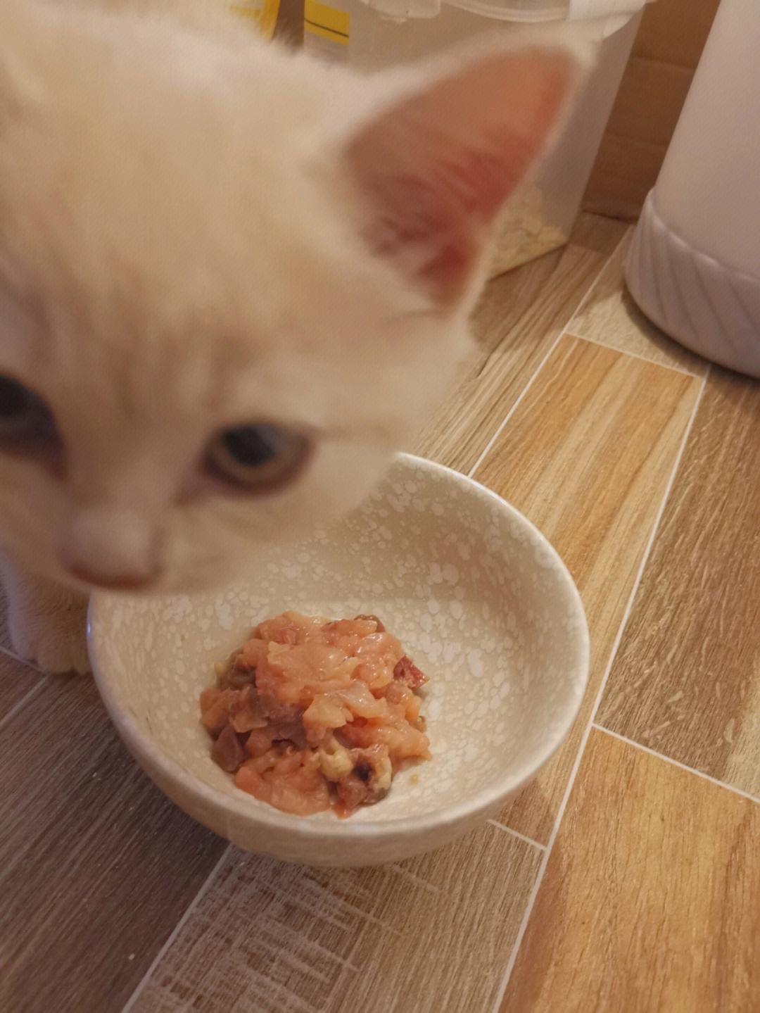 猫咪可以吃生肉吗