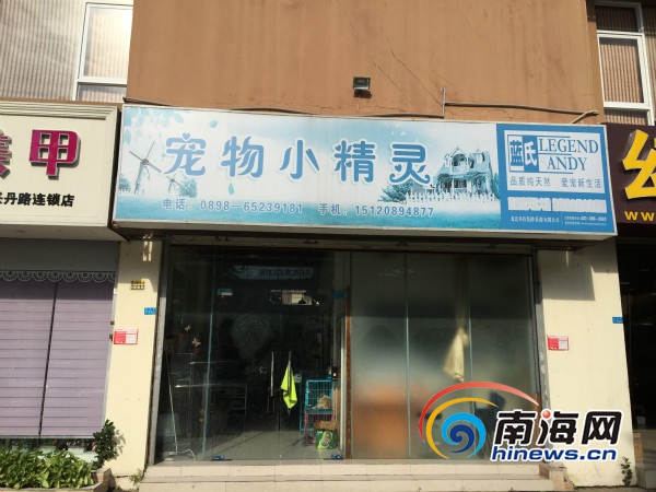 宠物批发海口-海口最大宠物店