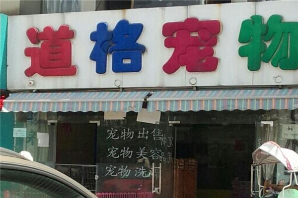 开个宠物店要什么条件