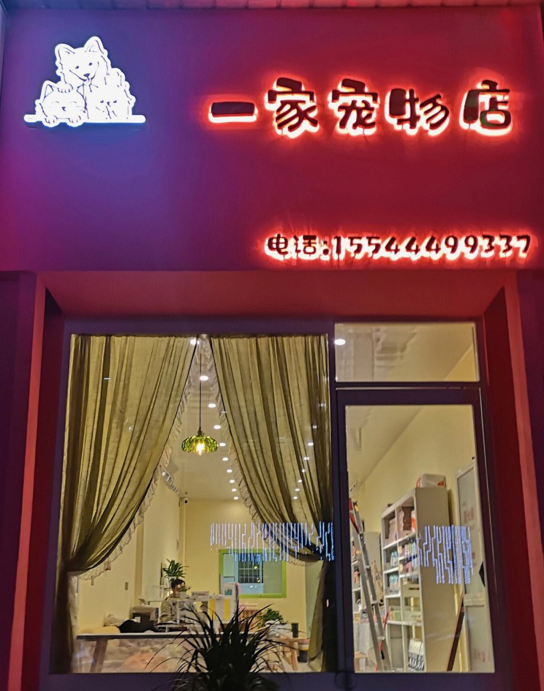 宠物店治病吗