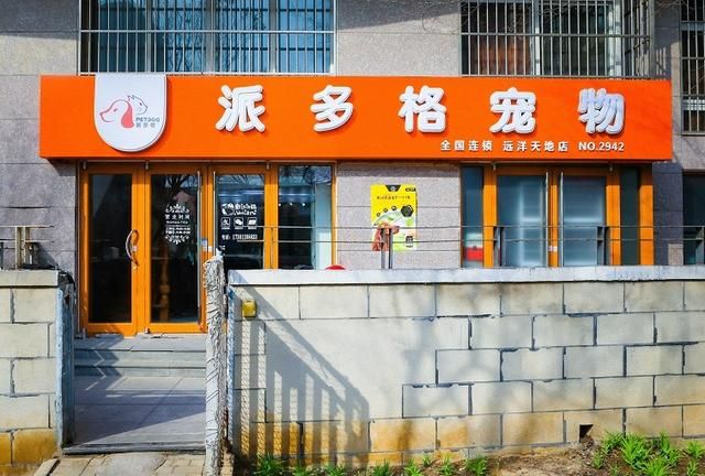 武汉网上宠物店