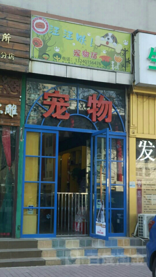 天津正规宠物店