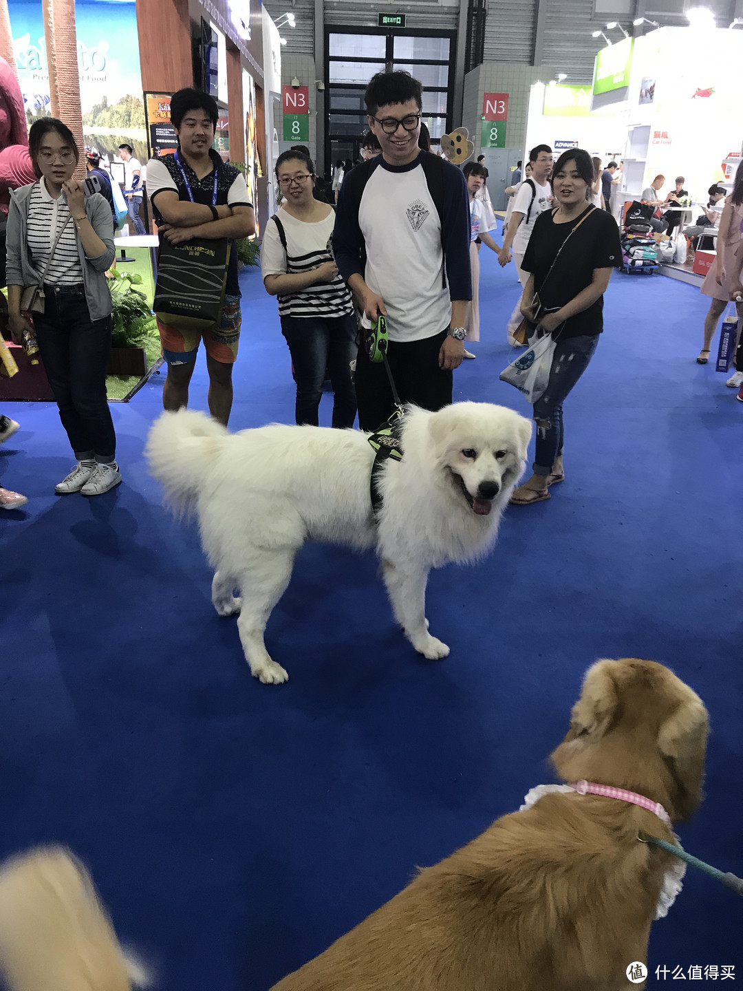 第四届北京宠物展-北京宠物展2021