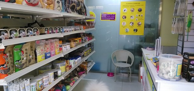 温州酷迪宠物店-温州酷迪宠物店电话