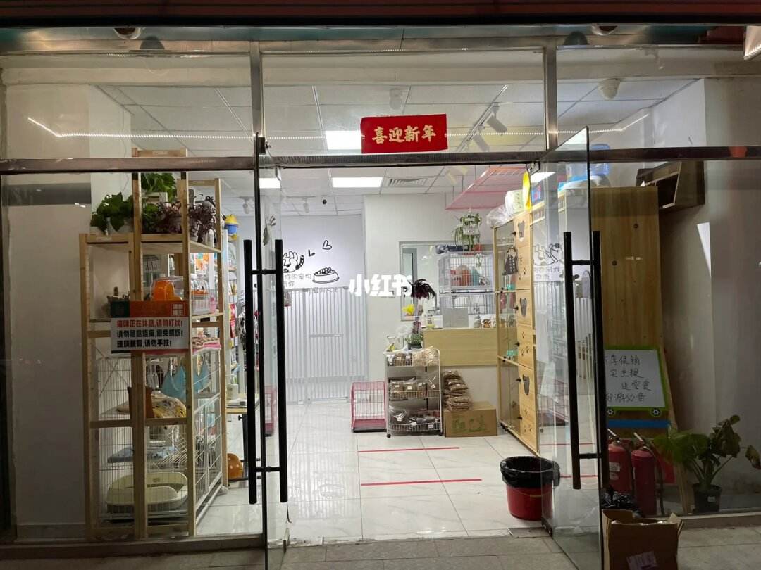 北京专业销售宠物的宠物店