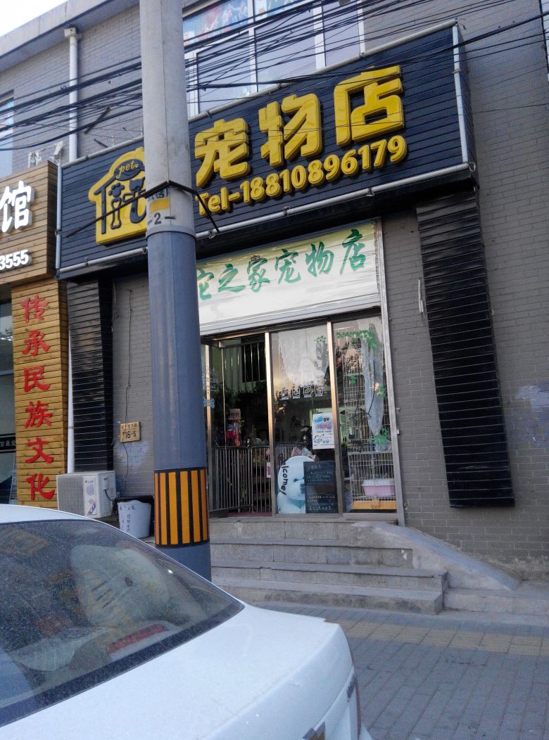 北京专业销售宠物的宠物店