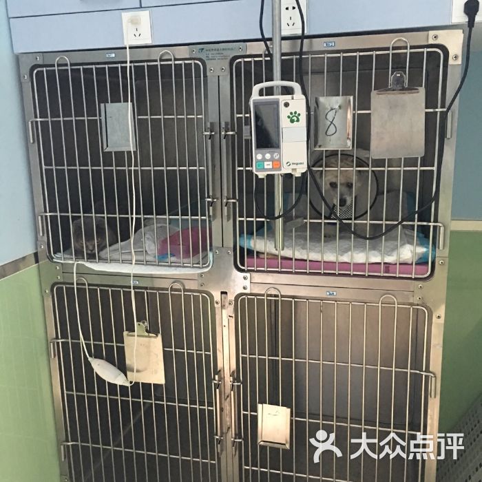 广济宠物诊所-广州宠物医院电话