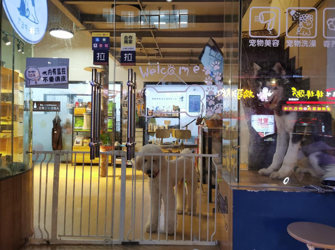 深圳宠物店在哪里-深圳宠物店联系方式