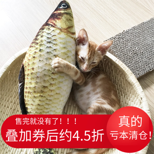 猫薄荷宠物