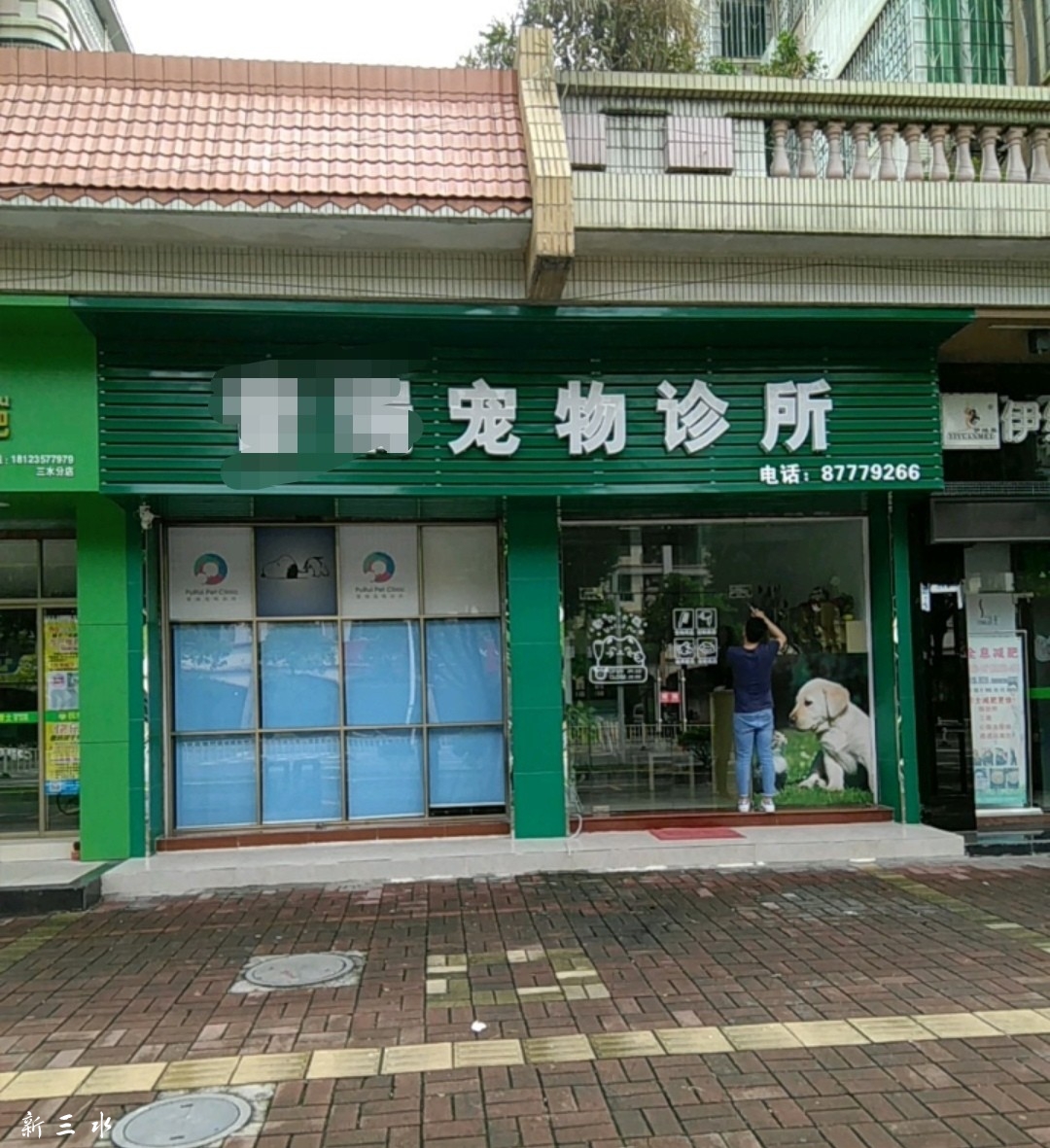 松岗宠物诊所-深圳松岗宠物店的地址