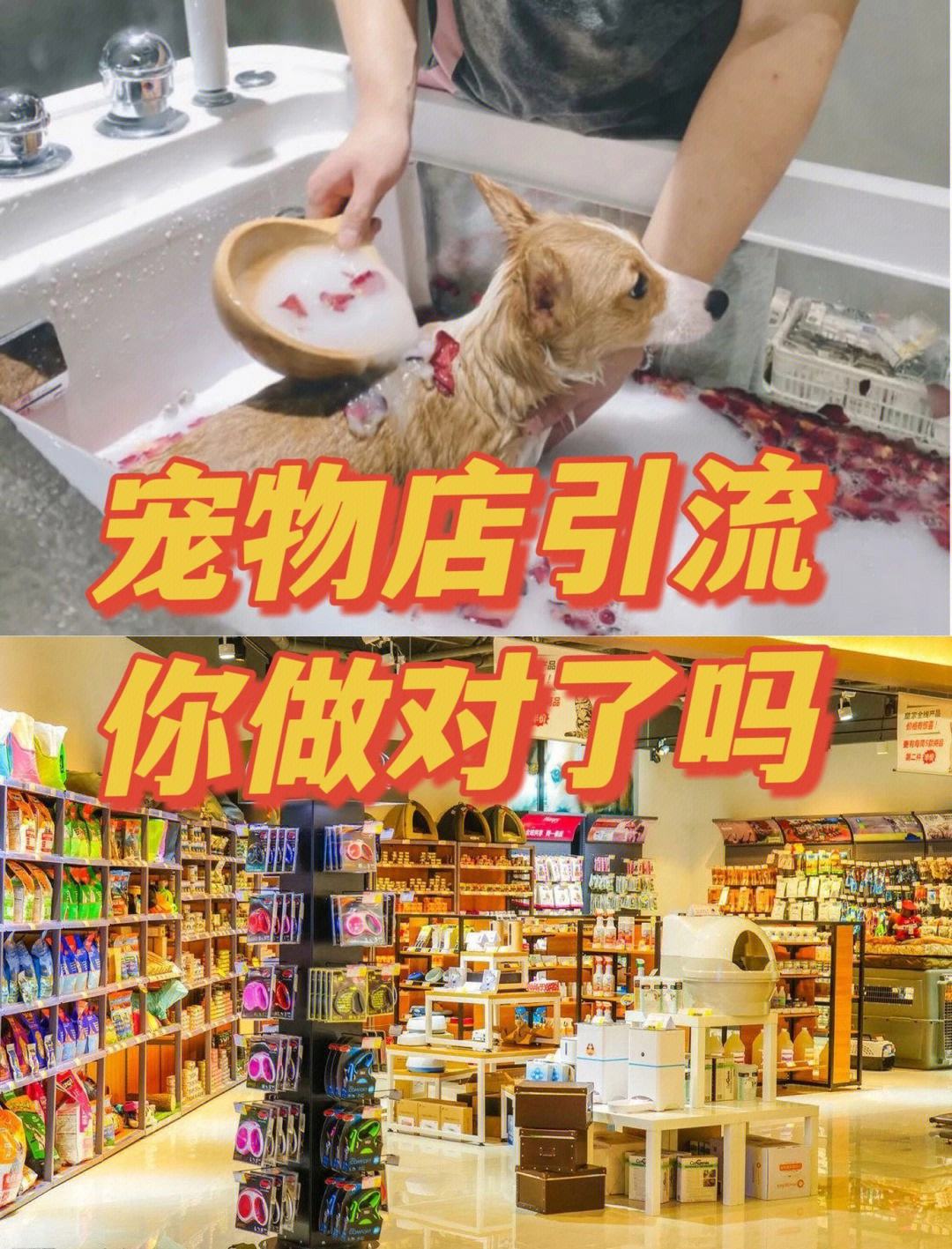 宠物店利润不大