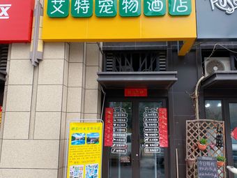 宠物店青岛-青岛宠物美容店