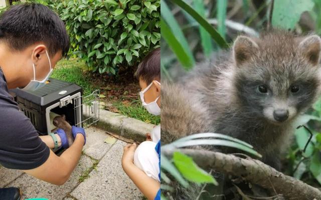 上海禁养犬