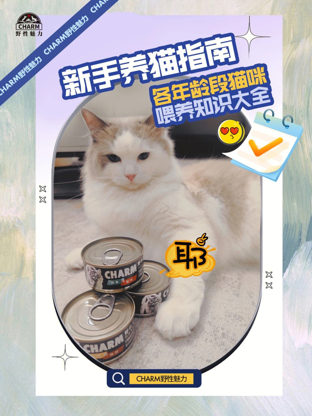 宠物网站大全养猫须知的简单介绍