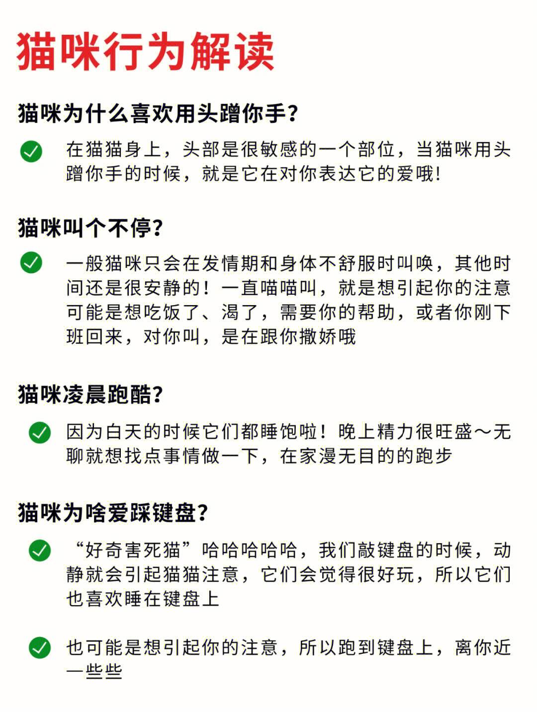 宠物网站大全养猫须知的简单介绍