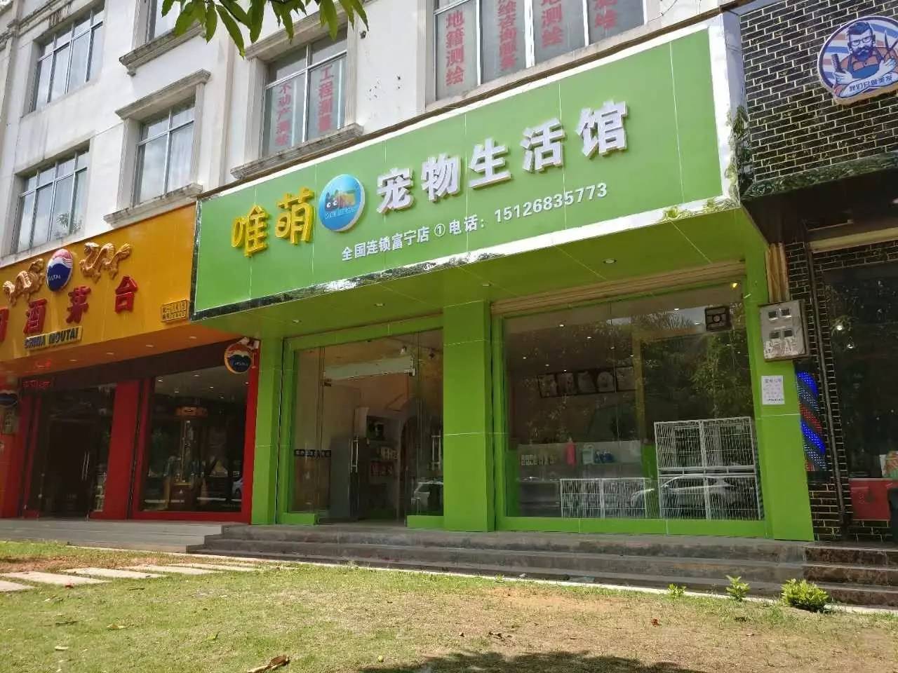 宠物门店图片