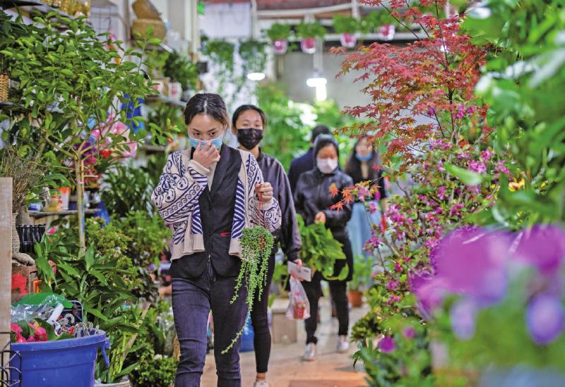 重庆宠物市场-重庆宠物市场排名