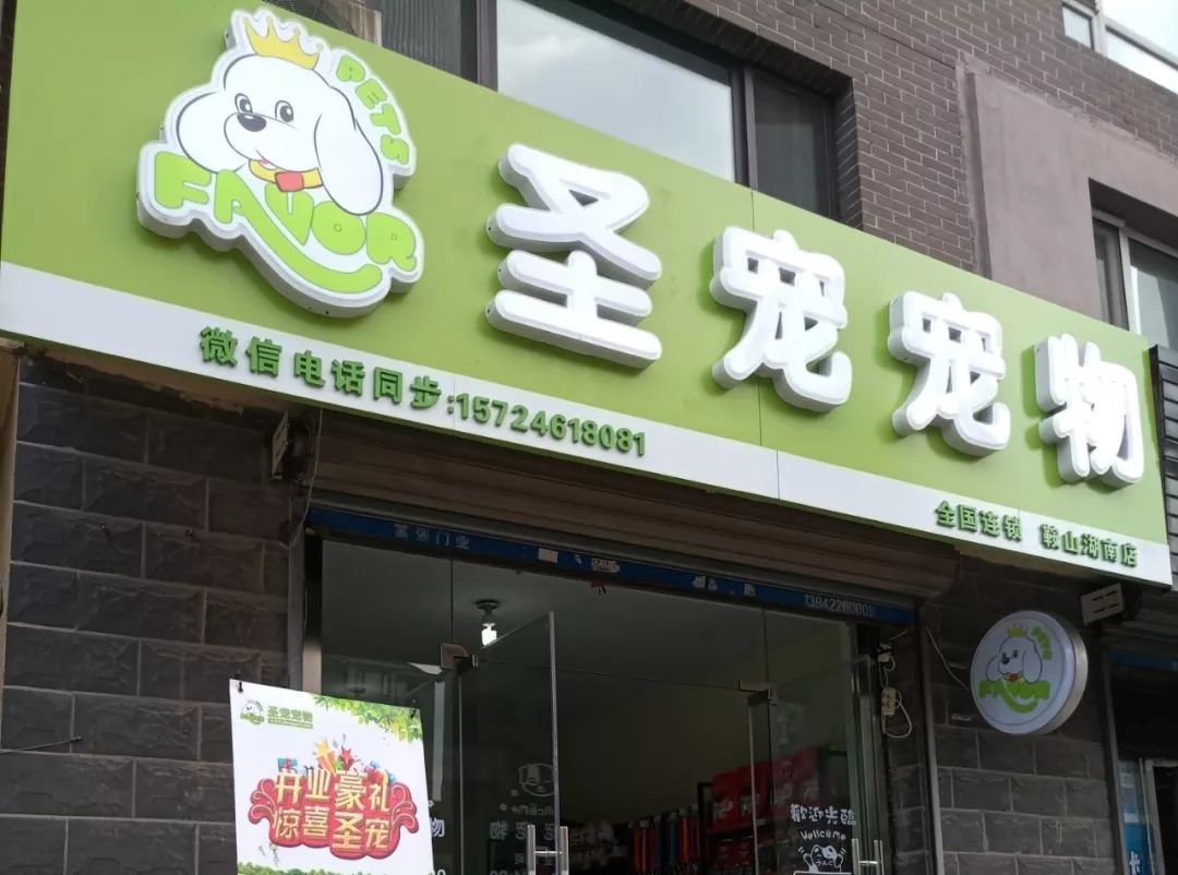 全国宠物店联系方式