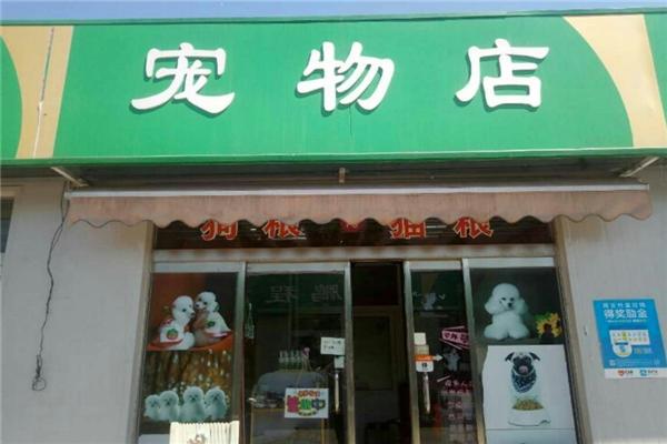 呼和浩特市宠物店