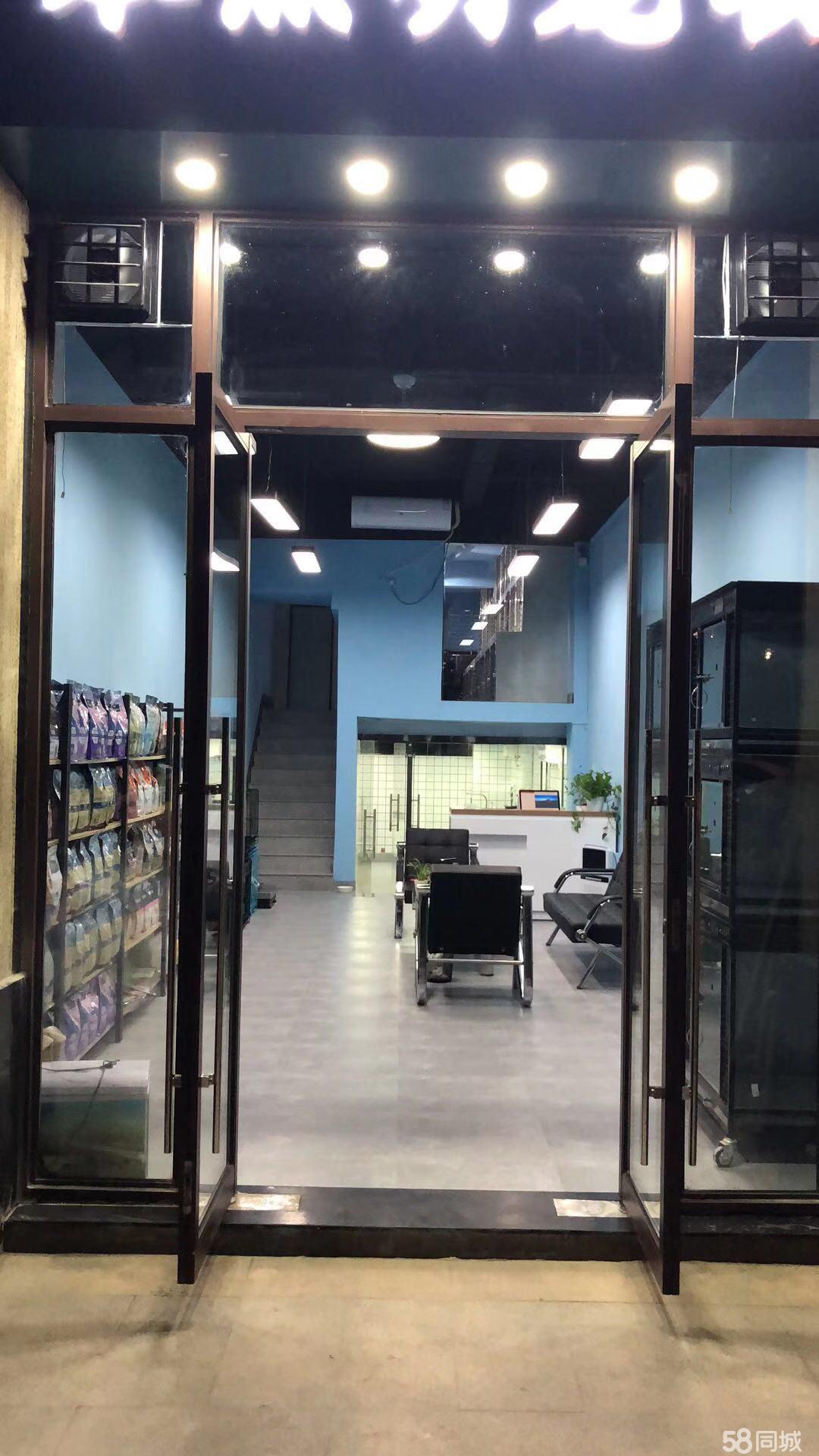 把猫寄宠物店-把猫寄宠物店可以吗