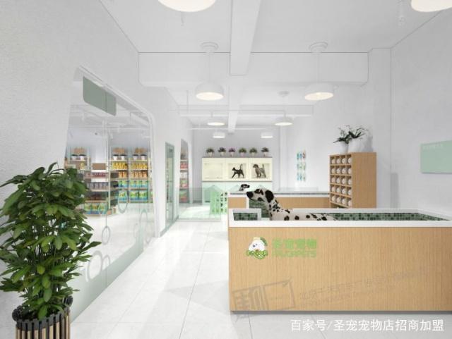 宠物店拿货-宠物店拿货没有网店便宜