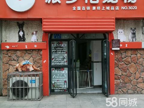 宠物店信息-宠物店信息沟通