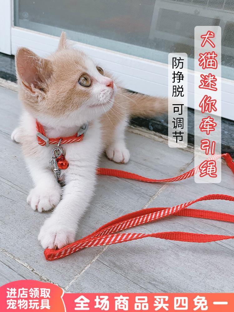 猫咪牵引绳怎么套-猫咪牵引绳怎么套工字型