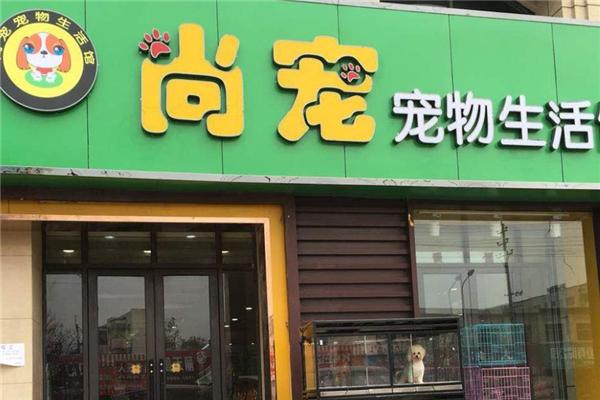 加盟宠物店怎么样