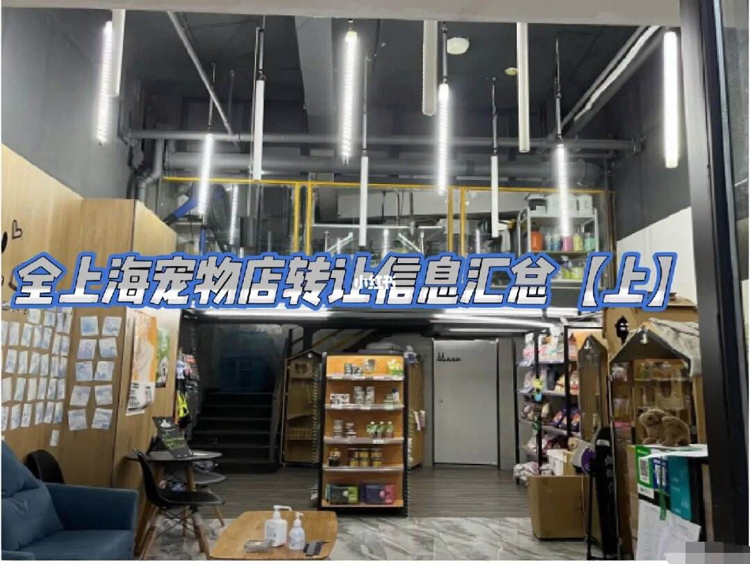 在上海开宠物店费用-上海开宠物诊所的条件