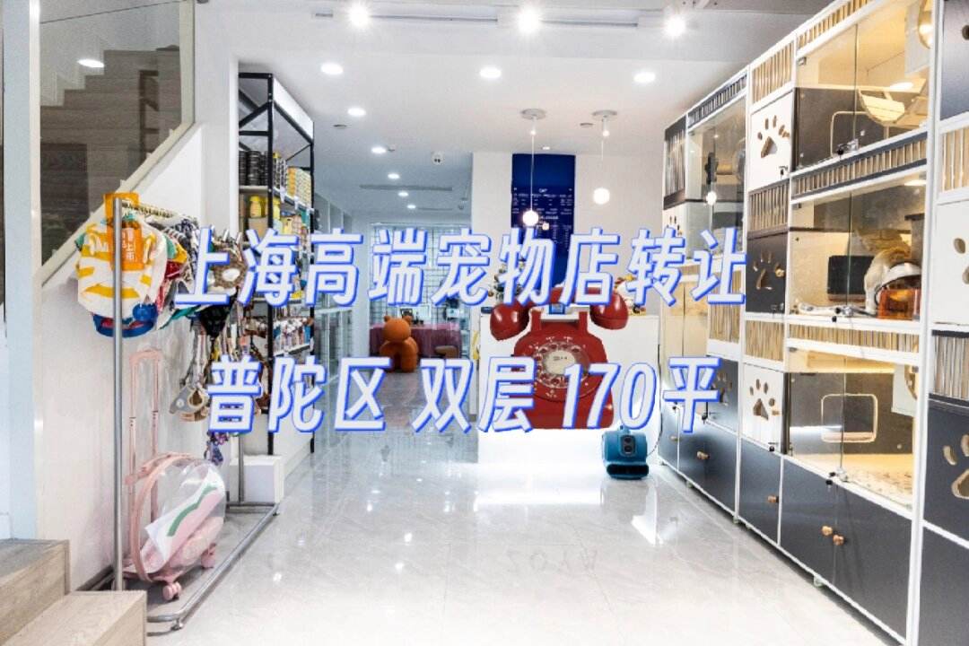 在上海开宠物店费用-上海开宠物诊所的条件