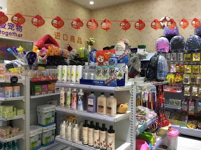 进口宠物店-进口宠物用品贸易公司