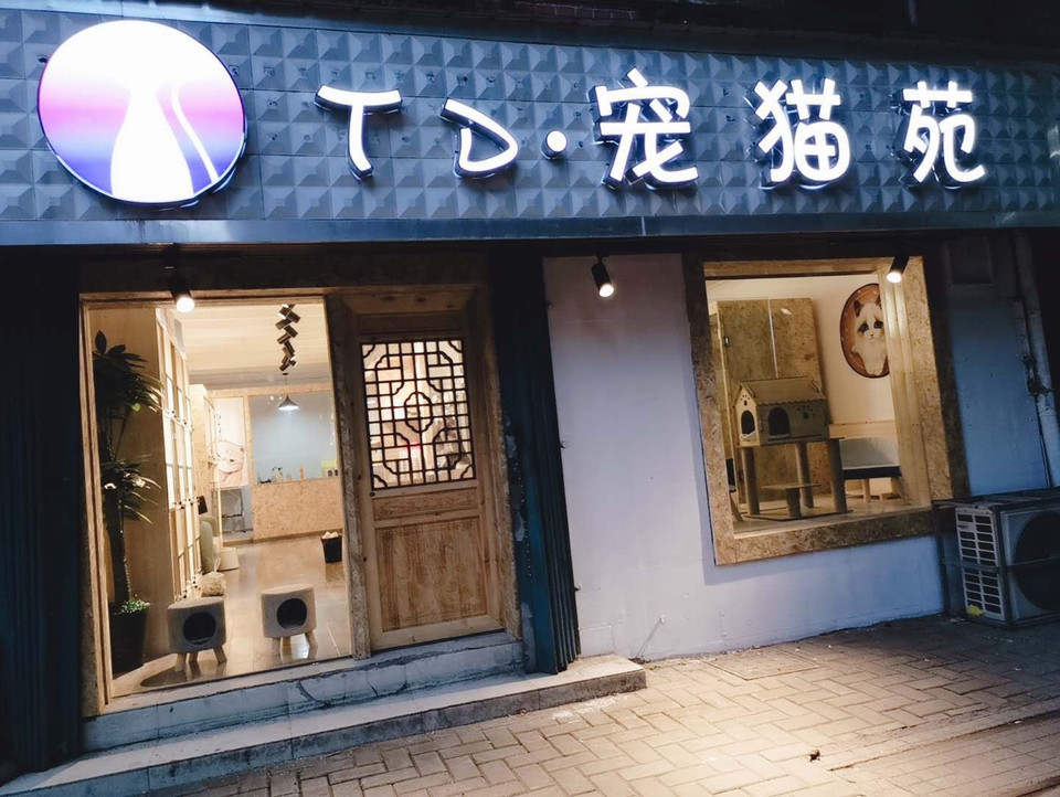 武汉哪有宠物店